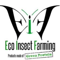 Cricket Powder & Cricket Flour wholesale | EIF Thailand